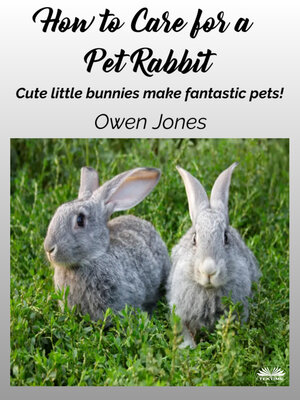 cover image of How To Care For A Pet Rabbit